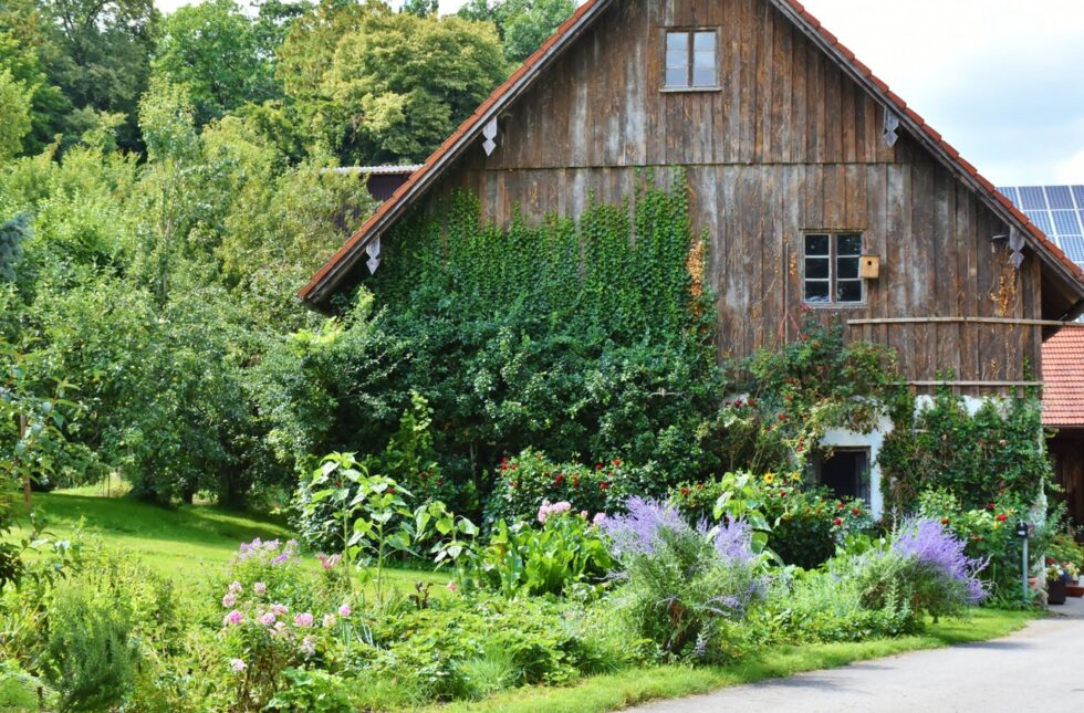 10 Practical Ways to Save Money on a Homestead - Become Self Sufficient